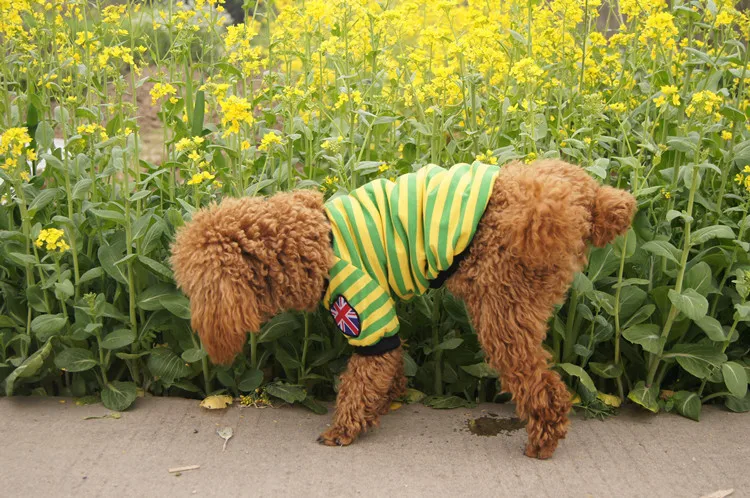 Легкие товары для собак весенний флаг полосатая рубашка ткань