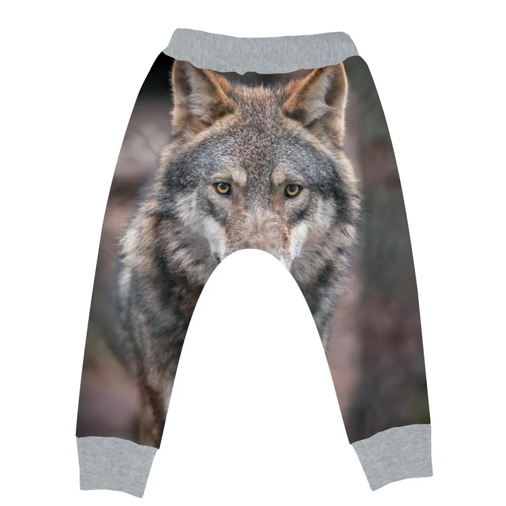 17pants 407