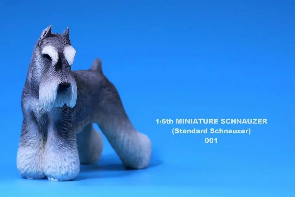 [Estartek] Mr.Z Animal Серия № 19 1/6 миниатюрный шнаузер/стандартный шнаузер реквизит для 12