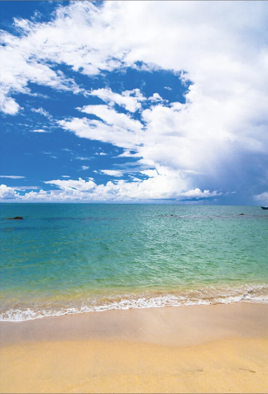 

Laeacco Tropical Sea Beach Cloudy Blue Sky Children Scenic Photo Backgrounds Customized Photography Backdrops For Photo Studio