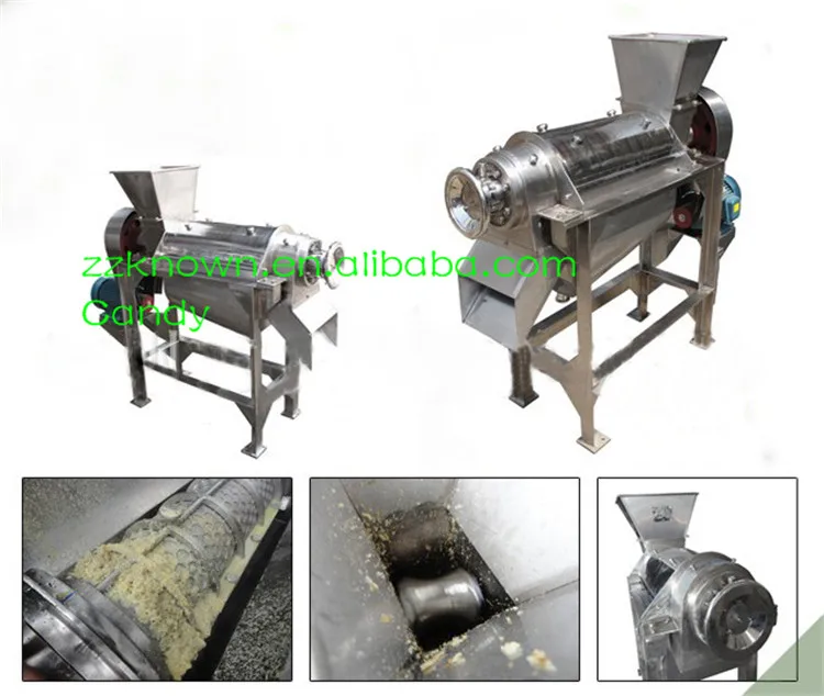 Extractor Industrial de zumo de frutas Piña, máquina exprimidora de  piña|Procesadores de alimentos| - AliExpress