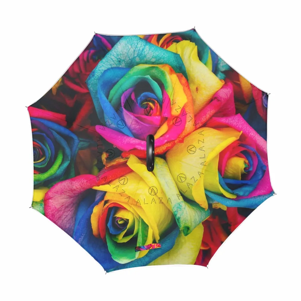 g1286962p183c217s313_1