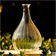 Прозрачная Хрустальная стеклянная ваза в полоску, гидропонная ваза, модное домашнее украшение