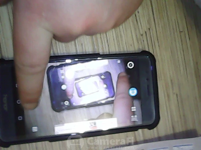 UTB8FSQJpVfJXKJkSamHq6zLyVXae