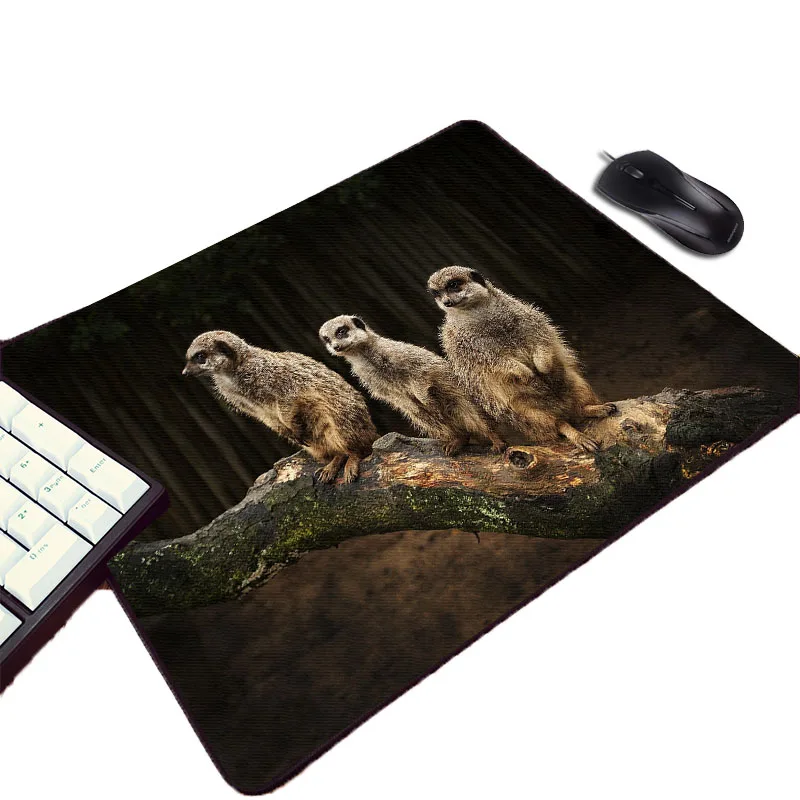 Mairuige маленький размер животные Meerkat Кошка Собака резиновая Мягкая Pc Компьютерная