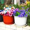 Garden Supplies