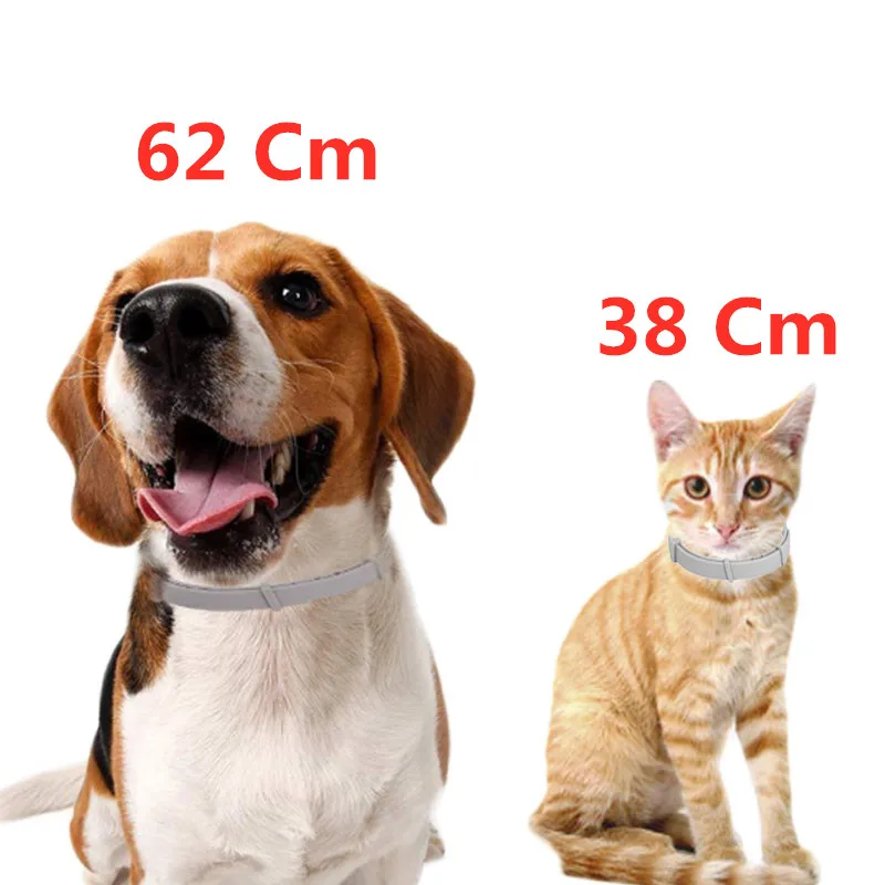 Seresto Bayer антимоскитный Блошиный и клещевый ошейник для домашних собак и кошек товары для здоровья домашних животных длятся 8 месяцев