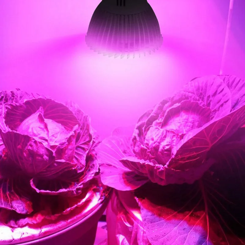 Полный спектр 28 SMD красный сине-белые Светодиодный лампа для выращивания растений с питанием от источника Grow Light чашка для цветочных