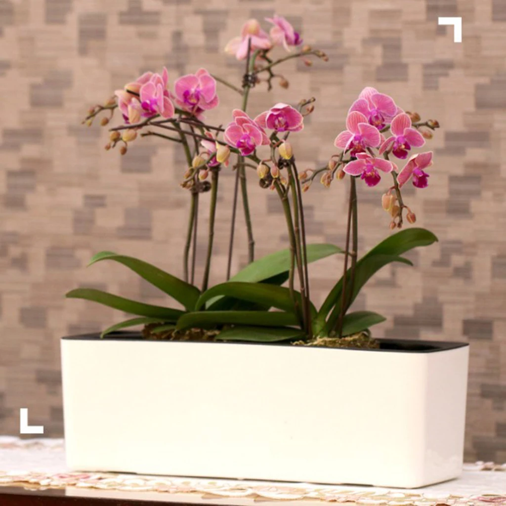 

39cm Detachable Self Watering Houseplant & Herb Indoor Rectangular Planter Pot for Home Garden Tabletop Ornaments