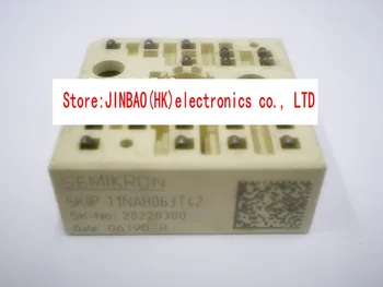 

SKIIP11NAB063T42