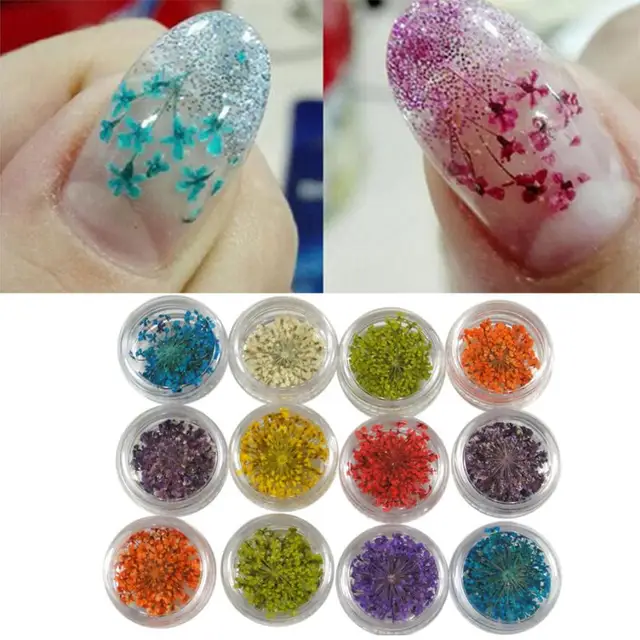 235 10 De Réductiontop Vente 12 Couleurs 3d Décoration Réel Sec De Fleurs Séchées Pour Uv Gel Acrylique Nail Art Conseils Séché Fleur Matériel