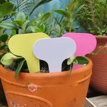 Garden Plant Labels plastic fleshy T-tag flower potted gardening planting land card plant label waterproof card 5pcs