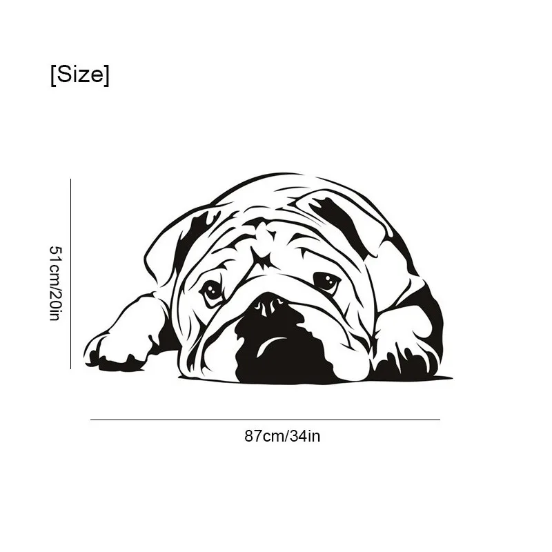 800x800size