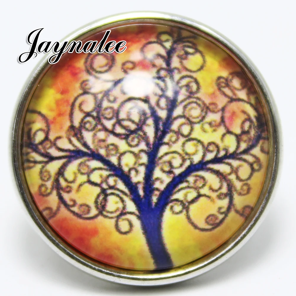 Jayna украшение в форме имбирного печенья 20 мм металл снимки стеклянная крышка Очаровательные изделия fit ювелирные украшения с застежкой