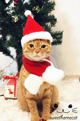 9306436880_61775620.400x400