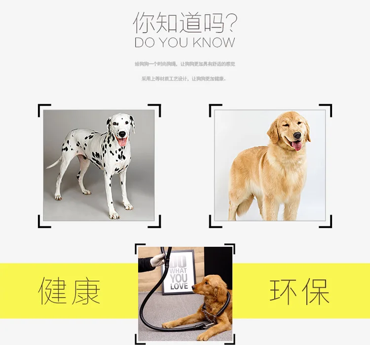 Поводок для собак ошейник для средних и больших собак цепь Jin Mao Satsu pet strong Dog два цвета