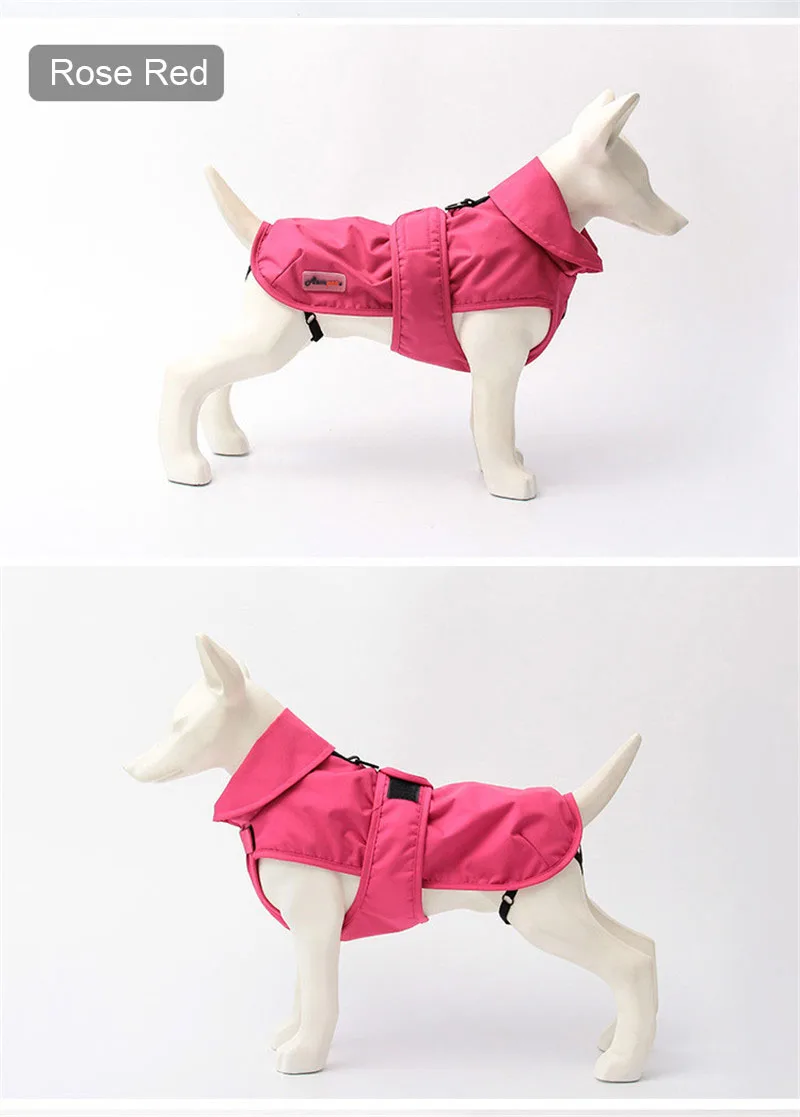 small dog clothes  winter (11)