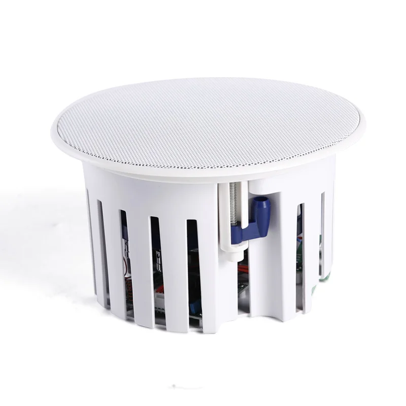 

The Bluetooth active ceiling speakers background music system wireless with slave speaker