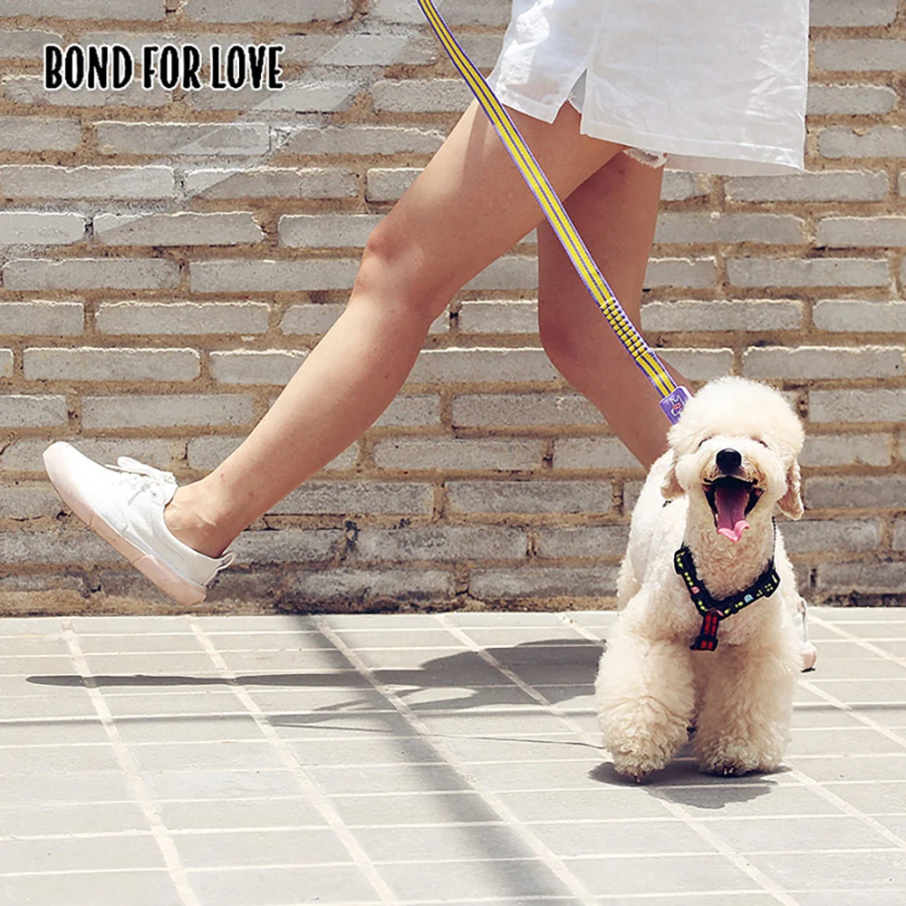 

Pet Leash Bungee Elastic Reflective Strong Dog Leash 1.2 M Long with Comfortable Handle Training Durable Nylon Rope Leashes