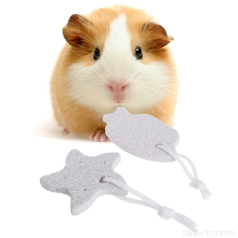 Hamster Teeth Stone Grinding Health Chinchilla Chew Minerals Molar Fish