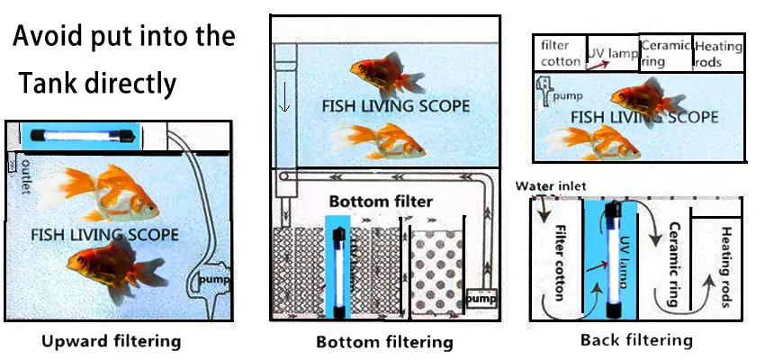 living pond-2