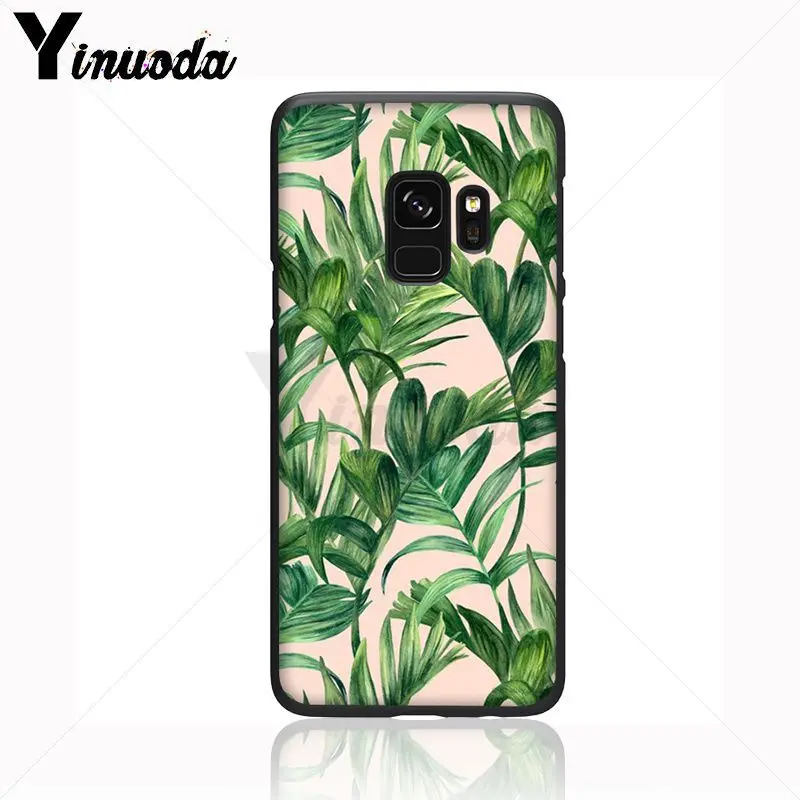 green plant leaves