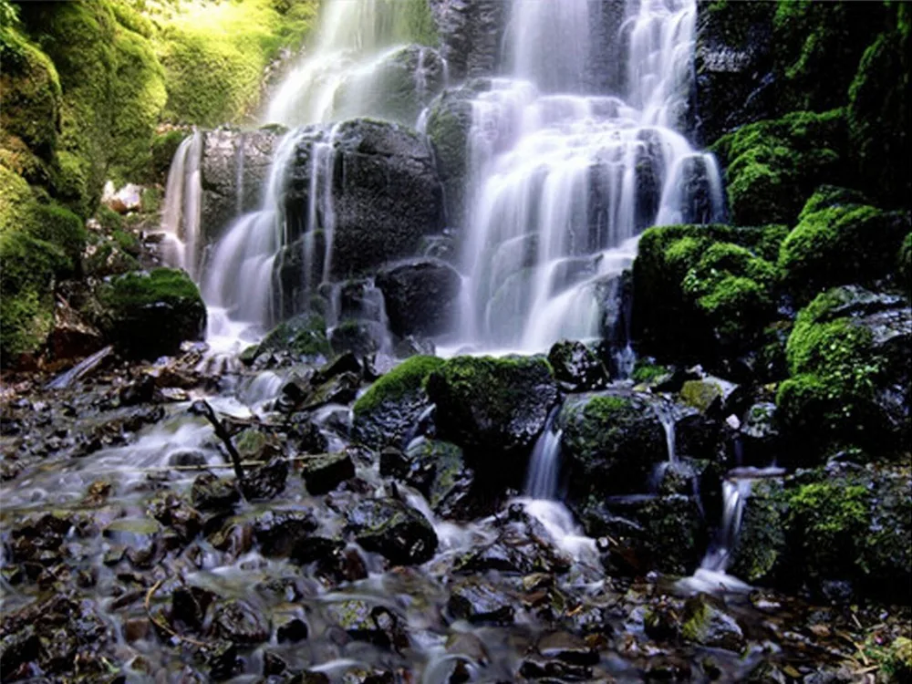 

DIY paintings diamond mosaic embroidery full drill rhinestones wall art scenery of fall inlay out pictures hobbies and crafts