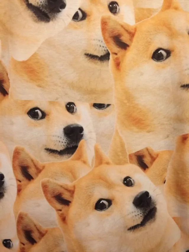 sAdjV