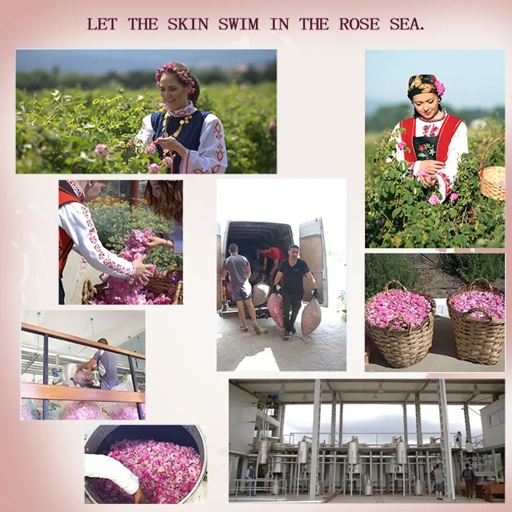Rose essential oil (3)