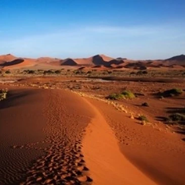 Sand dune  near Sossusvlei  Namib-Naukluft NP  Namibia  Africa. Poster Print by David Wall (38 x 25)