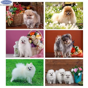 

Full Diamond Embroidery Spitz dog Animals photo DIY 5D Diamond Painting Cross Stitch Rhinestones mosaic Painting Home Decor