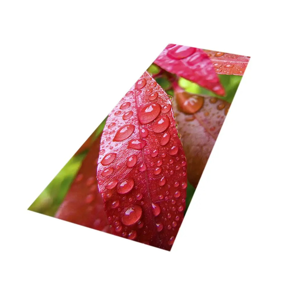 None Rectangle 3D Kitchen Sofa Wardrobe Shoe Cabinet Floor Mat Home Door Carpet