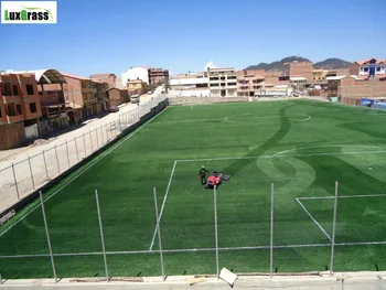 

soccer football turf grass