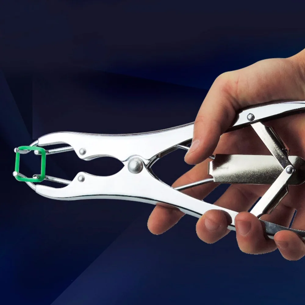 Veterinary Surgical Tool