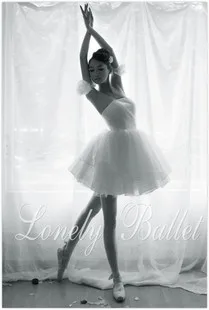 

Professional dance tulle dress ballet tutu skirt ballet skirt swan lake costume adult spaghetti strap ballet skirt