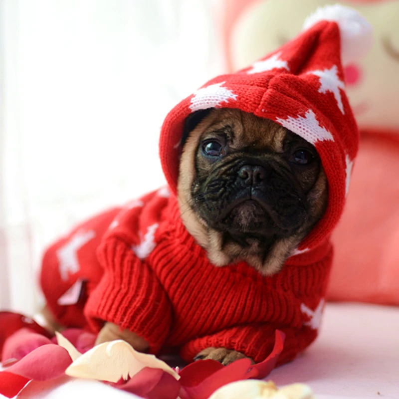 [mpk Dog Sweaters] Maple Leaves Hoodie For Dogs & Cats, Dog Shirt