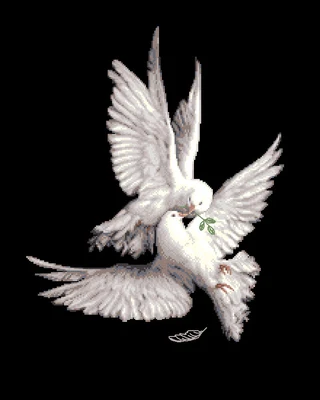 cs868598_ZR_               177X217X14