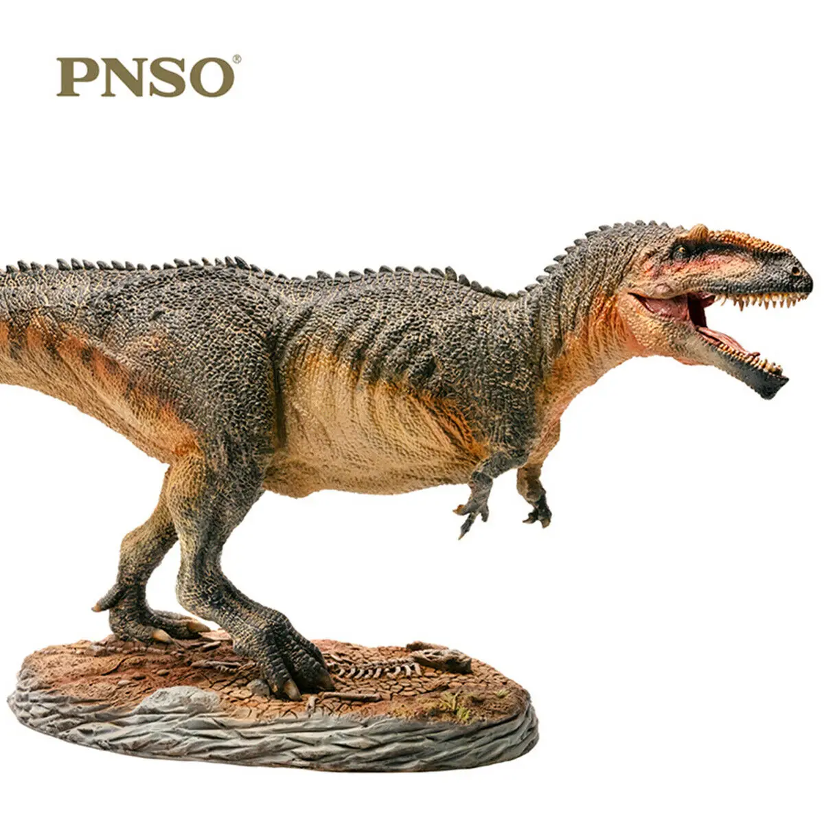 

PNSO 1/35 Scale Giganotosaurus Carolinii Dinosaur Figure Animal Adult Kids Collector Science Education Toys Gift Home Decor