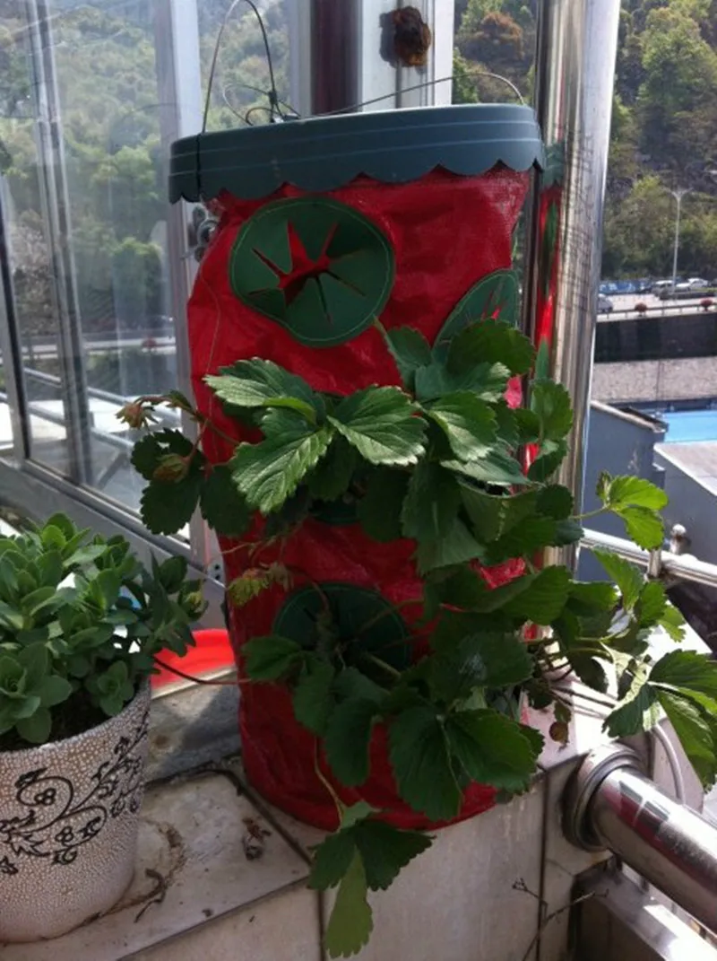 Aliexpress.com: koop aanplant apparaat topsy turvy tomaat planter ... Living in het verfraaien groene