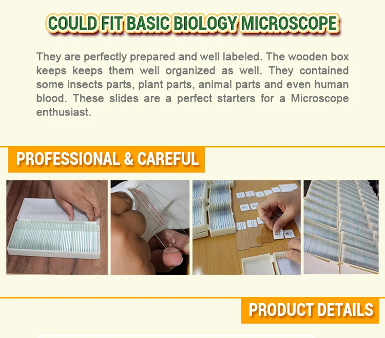 cells Microscope slides (8)