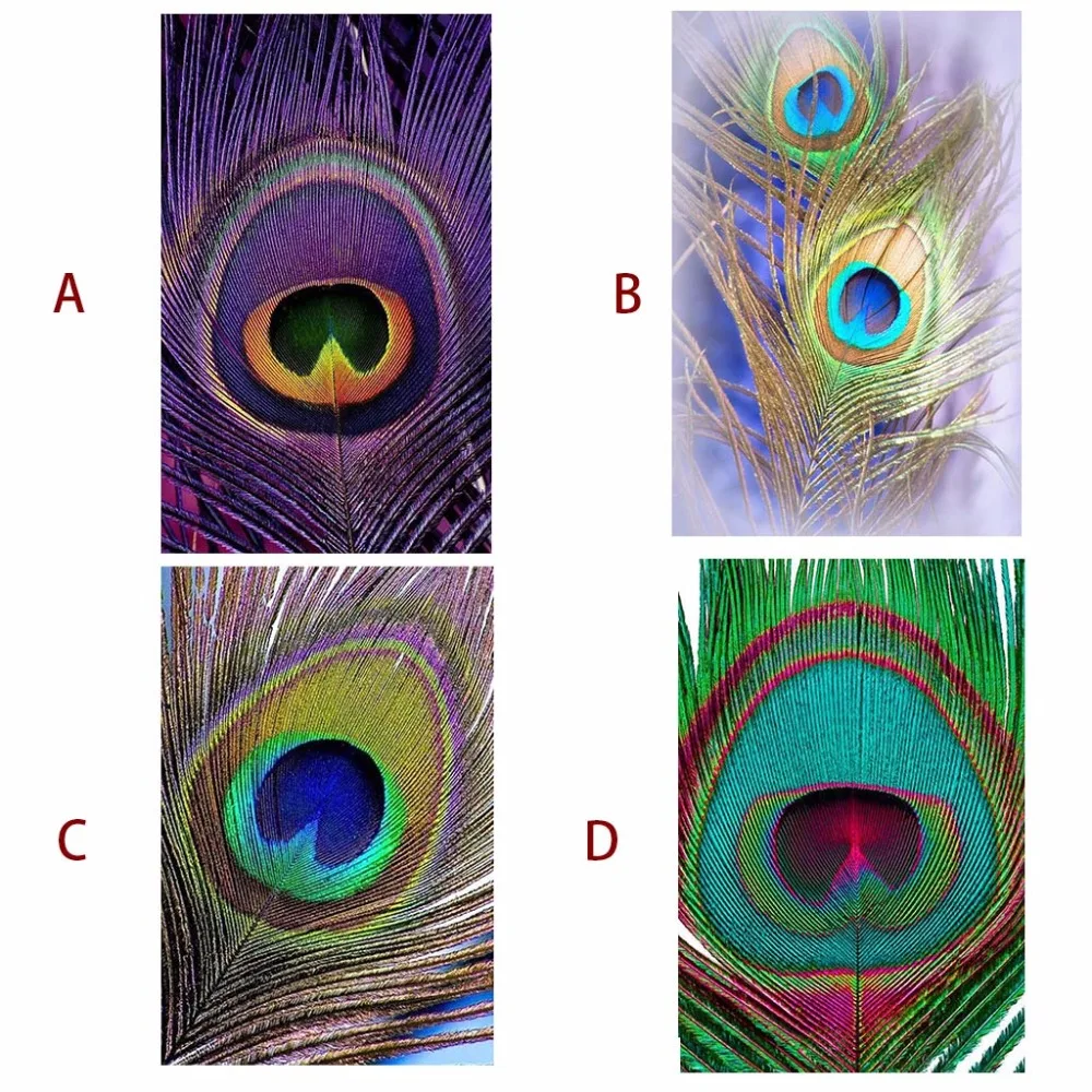 

Peacock feather 5D diamond embroidery rhinestone paste Diy diamond painting squareround crystal mosaic wedding decorationZP-2921