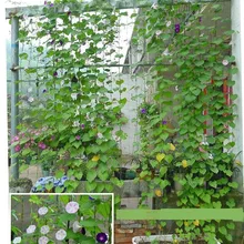 0,9x1,8 м садовая сетка лоза решетка для стелющихся растений нейлон сад сетки
