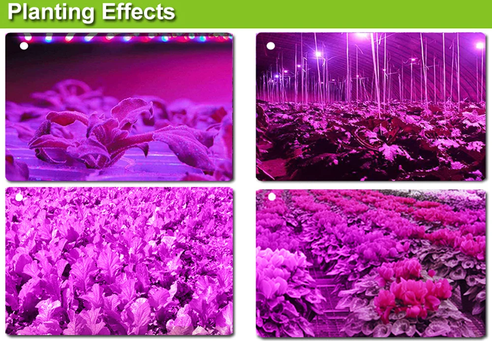 New Free shipping 300W LED Grow lights  Houseplant Grow tent Garden Greenhouse plant 5W  Epistar Flowers Herbs Full spectrum  (28)