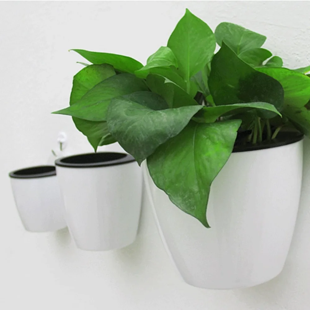 Modern Design Home Wall Hanging Flower Pot Round Shape Resin Hydroponics Chlorophytum Potted Pots | Дом и сад
