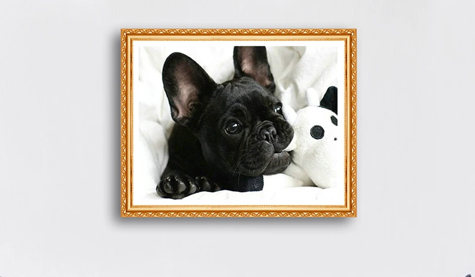 Touoilp DIY алмазная живопись черный французский Бульдог полная Алмазная вышивка собаки квадратная и круглая алмазная паста узор бусины
