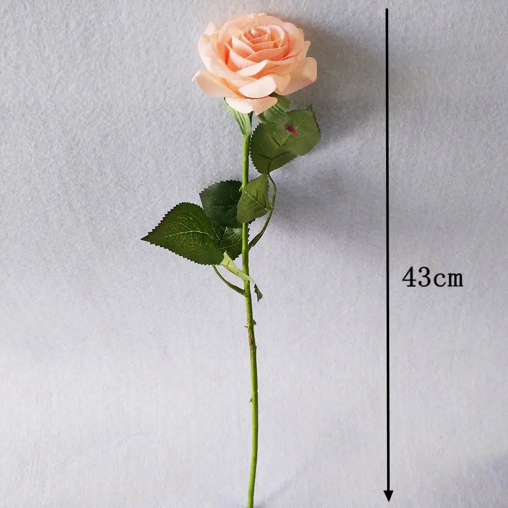 20170810_151627_042