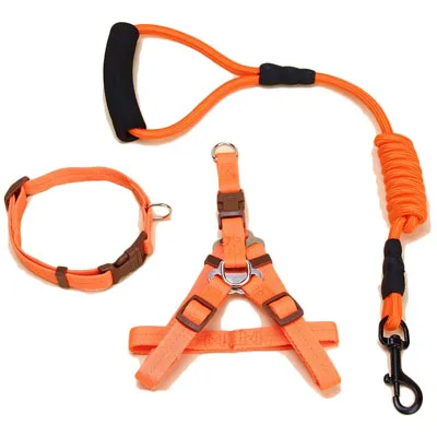 Orange Collar Set Классический сплошной цветной для собачки жгут Многофункциональный Сильный Прочный воротник для маленьких собак Открытый Обучение животное ведет поводок 10E - Цвет: Orange Collar Set