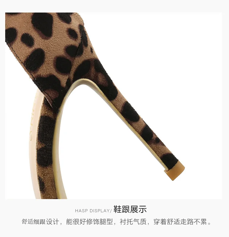 10808508855_2081702728