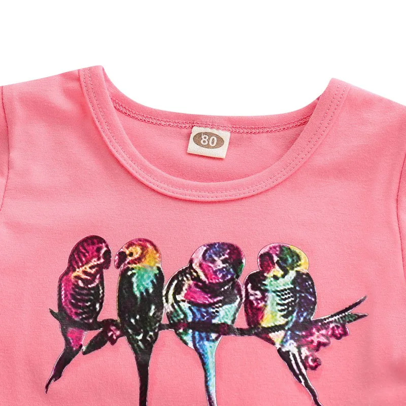 XL2538 (14)