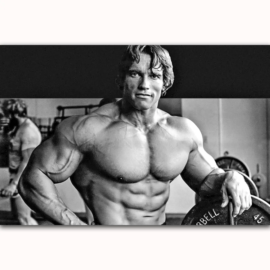 MQ1175 Arnold Schwarzenegger Bodybuilding Fitness Gym Hot New Art Poster Top Silk Light Canvas Home Decor Wall Picture Printings